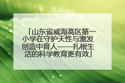 山东省威海高区第一小学在守护天性与激发创造中育人——扎根生活的科学教育更有效