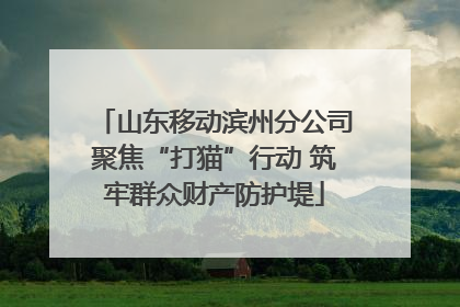 山东移动滨州分公司聚焦“打猫”行动 筑牢群众财产防护堤