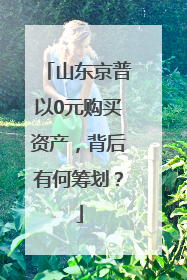 山东京普以0元购买资产，背后有何筹划？