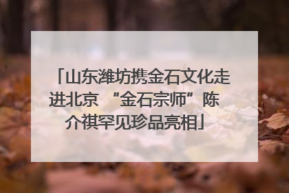 山东潍坊携金石文化走进北京 “金石宗师”陈介祺罕见珍品亮相