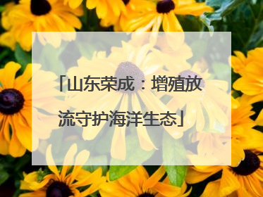 山东荣成：增殖放流守护海洋生态