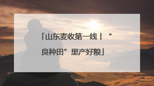 山东麦收第一线丨“良种田”里产好粮