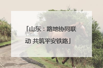 山东：路地协同联动 共筑平安铁路