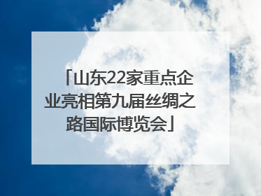 山东22家重点企业亮相第九届丝绸之路国际博览会