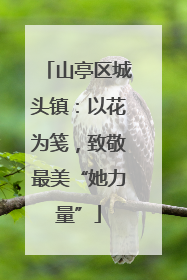山亭区城头镇：以花为笺，致敬最美“她力量”