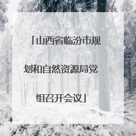 山西省临汾市规划和自然资源局党组召开会议