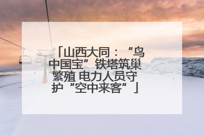山西大同：“鸟中国宝”铁塔筑巢繁殖 电力人员守护“空中来客”