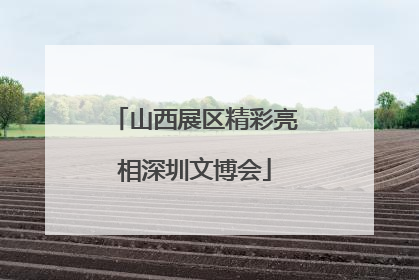 山西展区精彩亮相深圳文博会