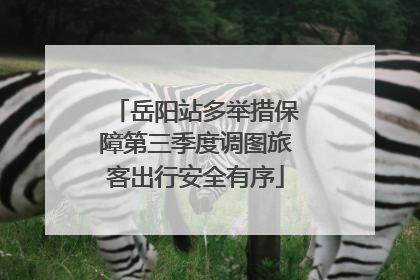 岳阳站多举措保障第三季度调图旅客出行安全有序