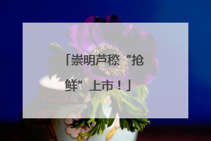 崇明芦穄“抢鲜”上市！