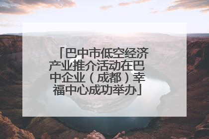 巴中市低空经济产业推介活动在巴中企业（成都）幸福中心成功举办