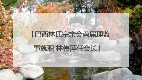 巴西林氏宗亲会首届理监事就职 林伟萍任会长