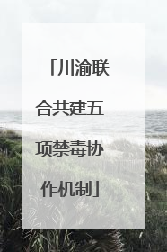 川渝联合共建五项禁毒协作机制