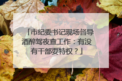 市纪委书记现场督导酒醉驾夜查工作：有没有干部耍特权？
