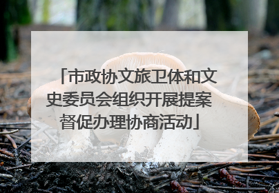 市政协文旅卫体和文史委员会组织开展提案督促办理协商活动