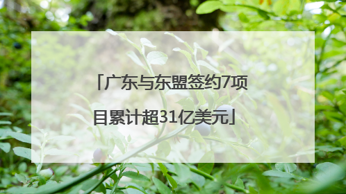 广东与东盟签约7项目累计超31亿美元