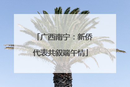 广西南宁：新侨代表共叙端午情