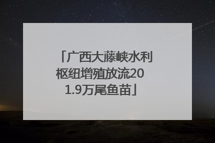 广西大藤峡水利枢纽增殖放流201.9万尾鱼苗
