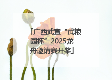广西武宣“武粮园杯”2025龙舟邀请赛开桨