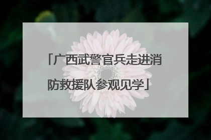 广西武警官兵走进消防救援队参观见学