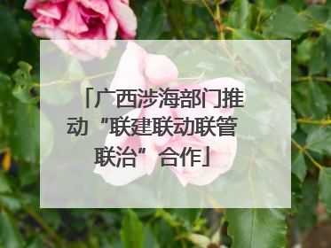 广西涉海部门推动“联建联动联管联治”合作