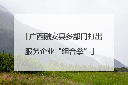 广西融安县多部门打出服务企业“组合拳”