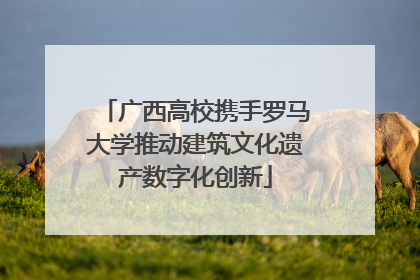 广西高校携手罗马大学推动建筑文化遗产数字化创新
