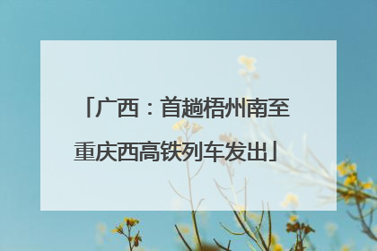 广西：首趟梧州南至重庆西高铁列车发出