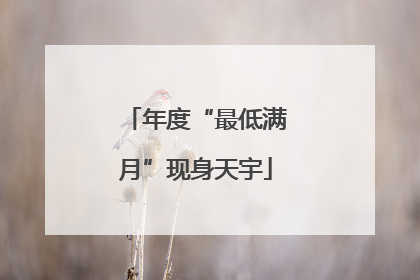 年度“最低满月”现身天宇