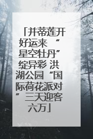 并蒂莲开好运来 “星空牡丹”绽异彩 洪湖公园“国际荷花派对”三天迎客六万
