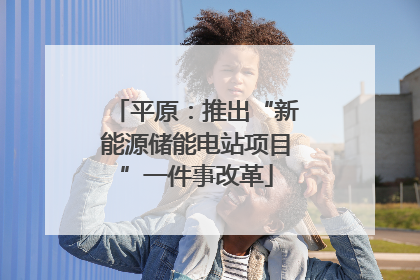 平原：推出“新能源储能电站项目”一件事改革
