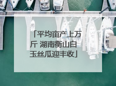 平均亩产上万斤 湖南衡山白玉丝瓜迎丰收
