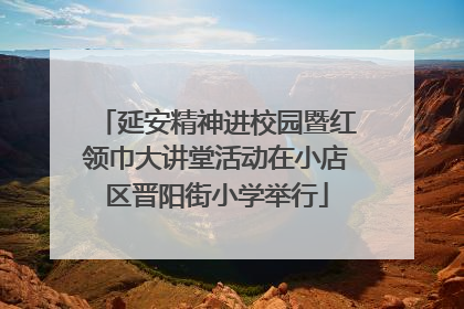 延安精神进校园暨红领巾大讲堂活动在小店区晋阳街小学举行