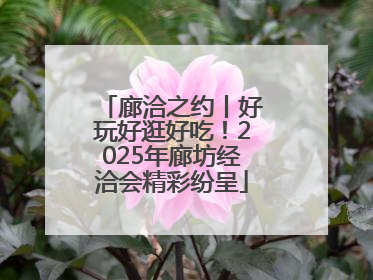 廊洽之约丨好玩好逛好吃！2025年廊坊经洽会精彩纷呈