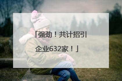 强劲！共计招引企业632家！
