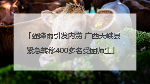 强降雨引发内涝 广西天峨县紧急转移400多名受困师生