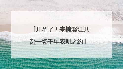 开犁了！来楠溪江共赴一场千年农耕之约
