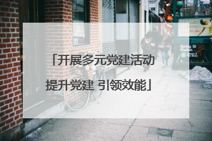 开展多元党建活动 提升党建 引领效能