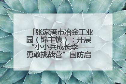 张家港市冶金工业园（锦丰镇）：开展“小小兵成长季——勇敢挑战营”国防启蒙教育活动