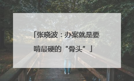 张晓波：办案就是要啃最硬的“骨头”