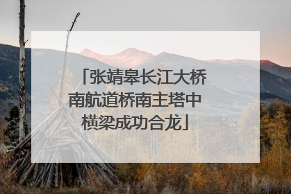 张靖皋长江大桥南航道桥南主塔中横梁成功合龙