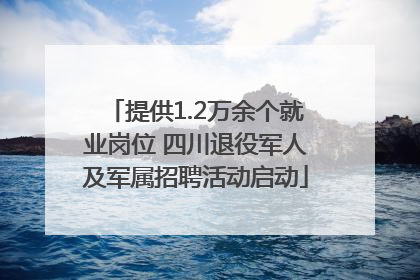 提供1.2万余个就业岗位 四川退役军人及军属招聘活动启动
