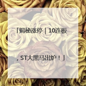 揭秘涨停｜10连板，ST大黑马出炉！