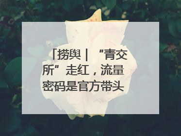 捞舆｜“青交所”走红，流量密码是官方带头“玩起来”