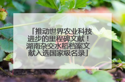 推动世界农业科技进步的里程碑文献！湖南杂交水稻档案文献入选国家级名录