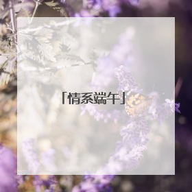 情系端午