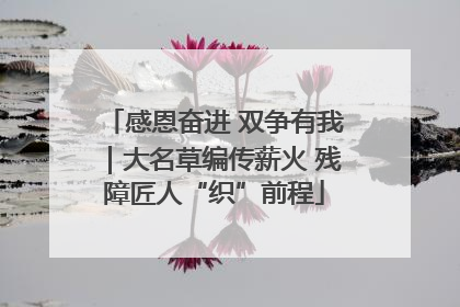 感恩奋进 双争有我｜大名草编传薪火 残障匠人“织”前程