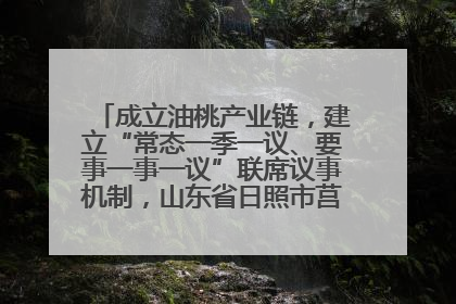 成立油桃产业链，建立“常态一季一议、要事一事一议”联席议事机制，山东省日照市莒县果庄镇——13个党小组“全周期”育果