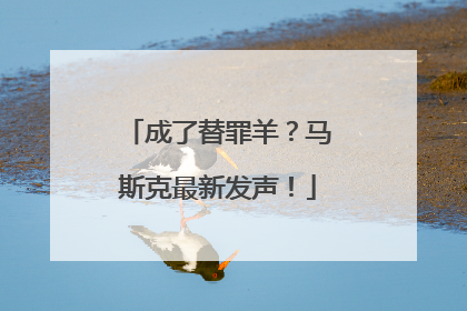 成了替罪羊？马斯克最新发声！