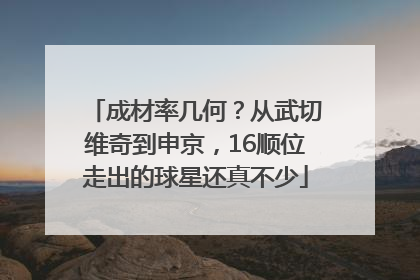 成材率几何？从武切维奇到申京，16顺位走出的球星还真不少